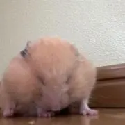 ＾＾