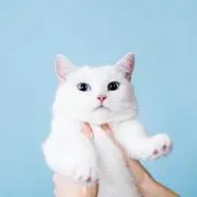 ma.