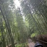 Kちゃんの画像