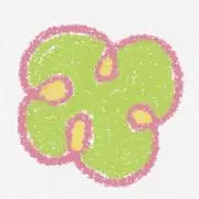 Pの画像