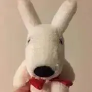 うさぎの画像