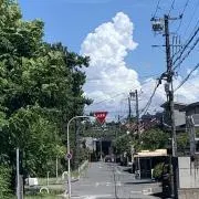 メリセの画像