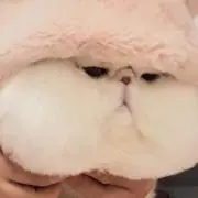 もん鬼の画像