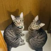 そらねむ　【プロフ必ず見てね】の画像