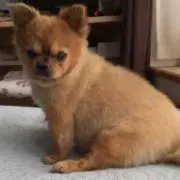 ばばち
