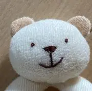 catの画像
