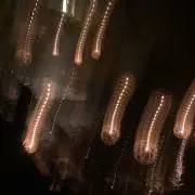 アダムの画像