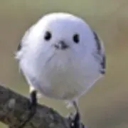 ままんの画像