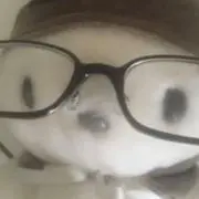 ことの画像