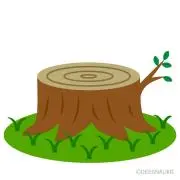 ぱちぱち切り株₍ᐢ › ༝ ‹ ᐢ₎‪の画像