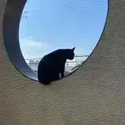ぱうの画像