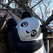 THYKの画像