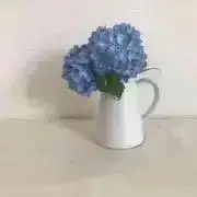 smileの画像