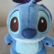 キタの画像