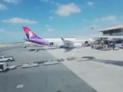 rinの画像