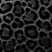 ᘜᕮプロフ必読(まとめお得‼️)の画像