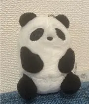 くまこうの画像