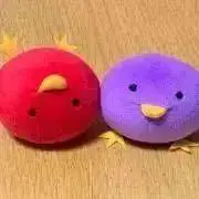 たま(即購入OK)の画像
