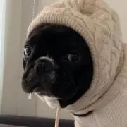 ななまま