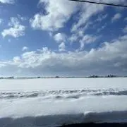 BLUEの画像