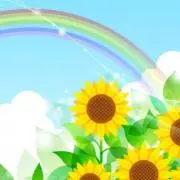 kirakira☆の画像