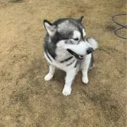 drum01300の画像