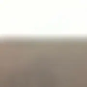 りゅなの画像