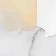 seroriの画像