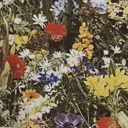 ぽりぽりの画像
