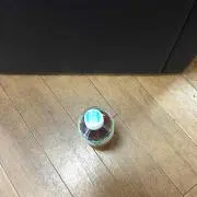 までいそんの画像