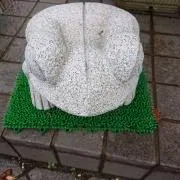 ダーミリア