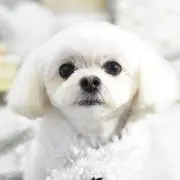 ねんねの画像