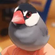 ちょこの画像