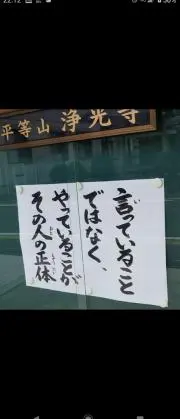チャッピー￠
