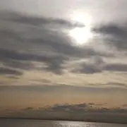 ミィ
