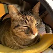 め〜ちゃん