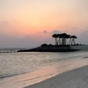 kaの画像