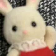 ぽめさんの画像