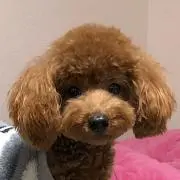 のあ♡