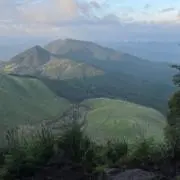 フジオカの画像