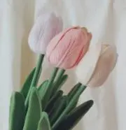 hの画像