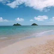 のりのりの