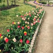 moco☆の画像
