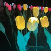 スーを差し上げますの画像