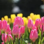りっちゃん
