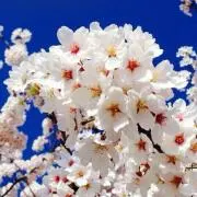 えだ / プロフ確認お願い致します。