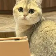 佐藤の画像