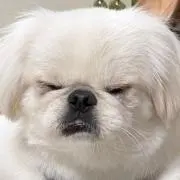 リン