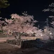 リアンの画像