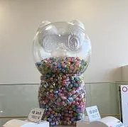 りさの画像